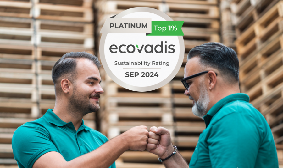 Faber Group Ecovadis 2024 visual